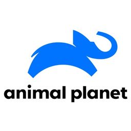 animalplanet.jpg